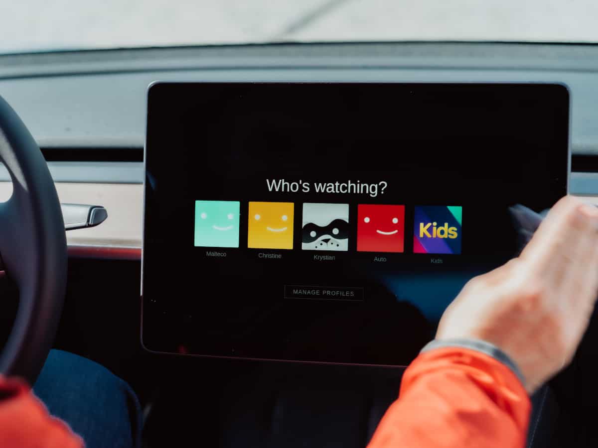 Tesla Premium watching Netflix