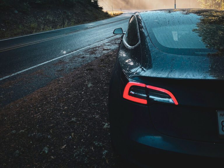 A Tesla at the side of the road