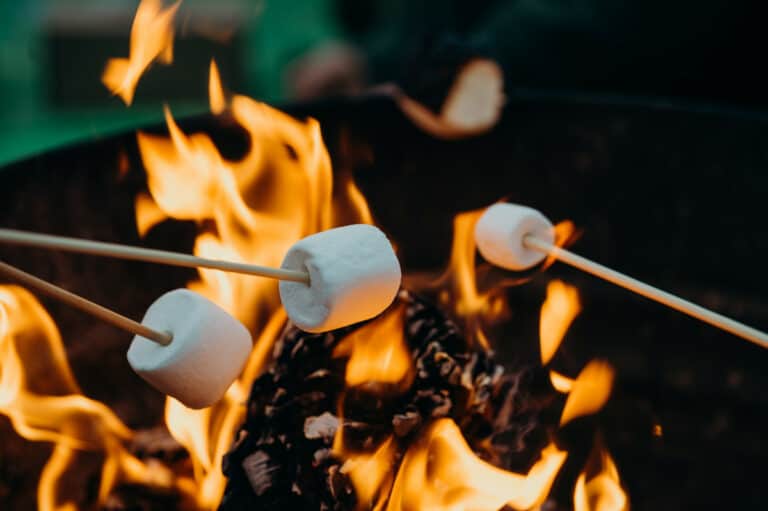 Camp fire and marshmallows